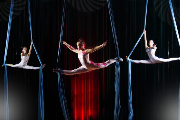 Aerial Performers